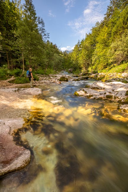 Mostnica river near Stara Fuzina, Slovenia. Little waterfall.